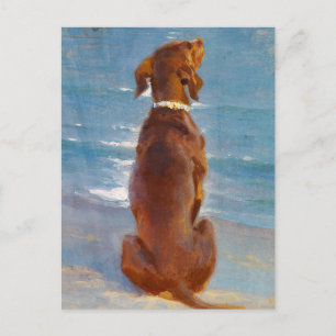 Cartão Postal Um cachorro marrom sentado por P.S. Kroyer