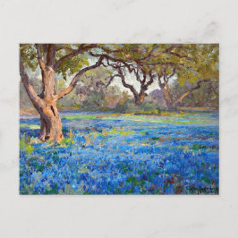 Cartão Postal Um Campo de Bluebonnets na Alamo Heights, 1919