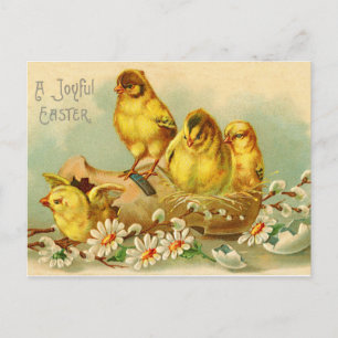 Cartão Postal Um Cartão-postal de Páscoa alegre