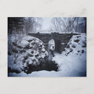 Cartão Postal Um Casal andando sob um arco de neve derramada de 