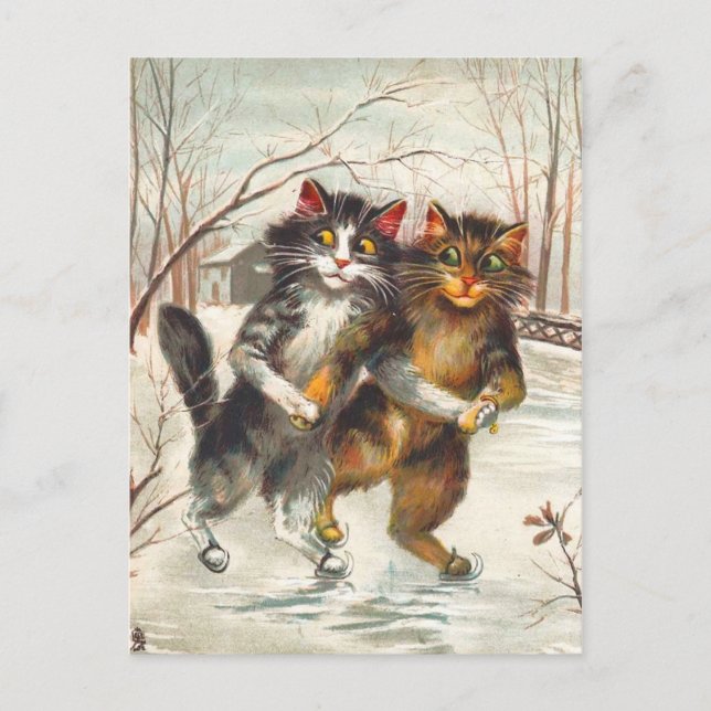 Cartão Postal Um Casal De Gato (Frente)