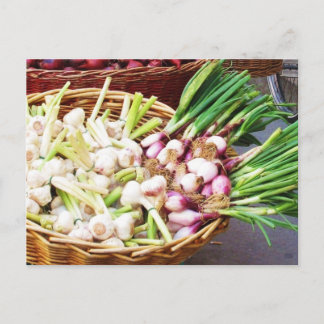 Cartão Postal Um cesto de GARLIC - Nápoles, Itália