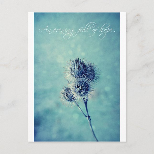 Cartão Postal Um cheio de esperança. (Frente)