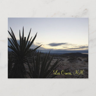 Cartão Postal Um Deserto Dusting