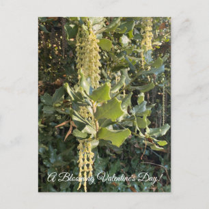 Cartão Postal Um Dia de os namorados Blooming!