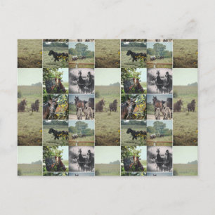 Cartão Postal Um dia em Kalona, Iowa