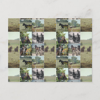 Cartão Postal Um dia em Kalona, Iowa