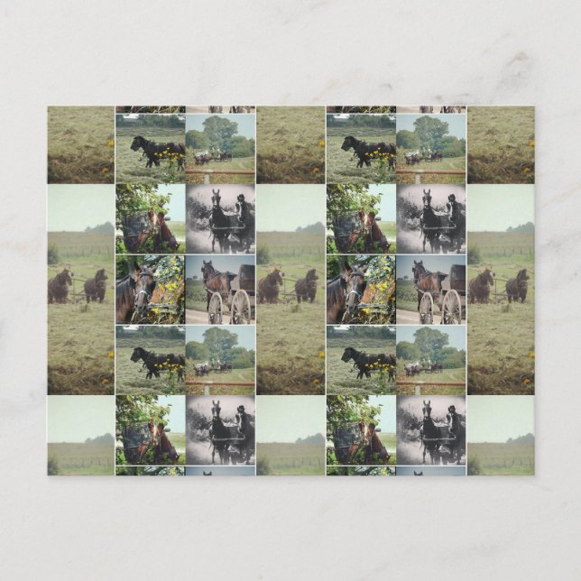 Cartão Postal Um dia em Kalona, Iowa (Frente)