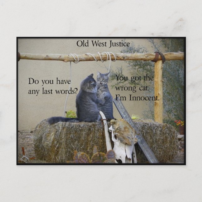 Cartão Postal Um Dos Rapazes Da Terra Está Prestes A Ser Preso? (Frente)