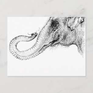 Cartão Postal Um elefante é fiel a 100%