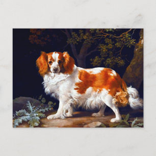 Cartão Postal Um Espanhol de Fígado e Branco de George Stubbs