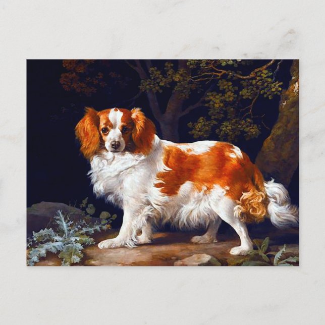 Cartão Postal Um Espanhol de Fígado e Branco de George Stubbs (Frente)
