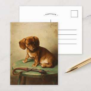 Cartão Postal Um Filhote de Dachshund   Carl Reichert