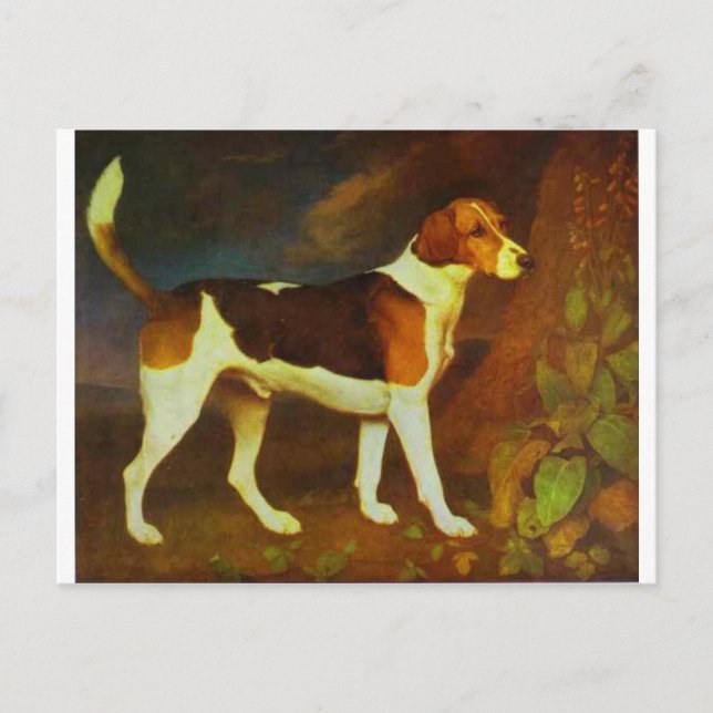 Cartão Postal Um Foxhound, Ringwod de George Stubbs (Frente)