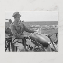 Um Gatinho na Guerra