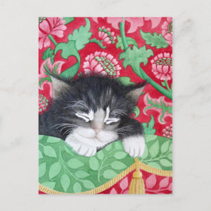 Cartão Postal Um gato confortável!
