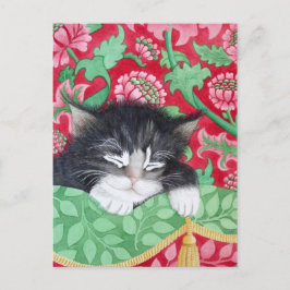 Cartão Postal Um gato confortável!