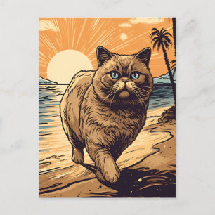 Cartão Postal Um gato exótico na praia tropical