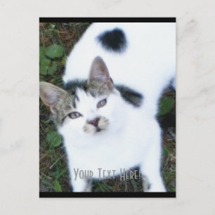 Cartão Postal Um Gato Legal (Garota)