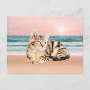 Cartão Postal Um gato listrado mais fofo sentado na praia com o 