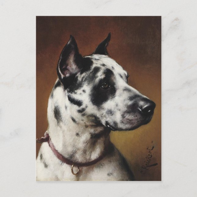 Cartão Postal Um grande cartão-postal Dane (Frente)