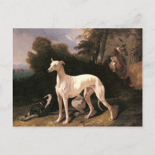 Cartão Postal Um Greyhound em uma paisagem extensa de Dreux