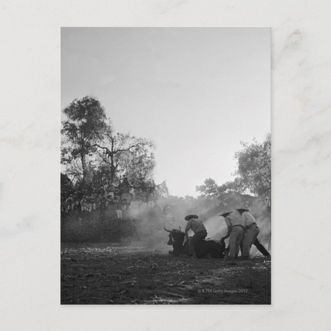 Cartão Postal Um grupo de toureiros charros mexicanos torce (Frente)