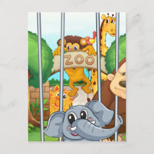 Cartão Postal um jardim zoológico e os animais