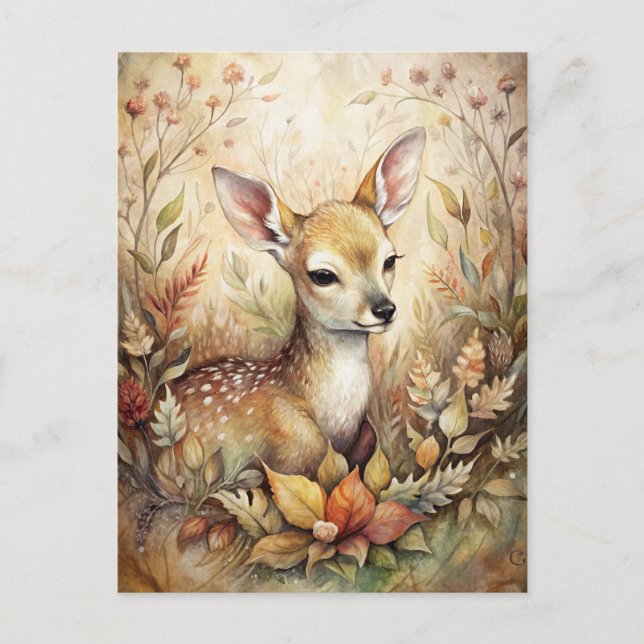 Cartão Postal Um Jovem Fawn (Frente)