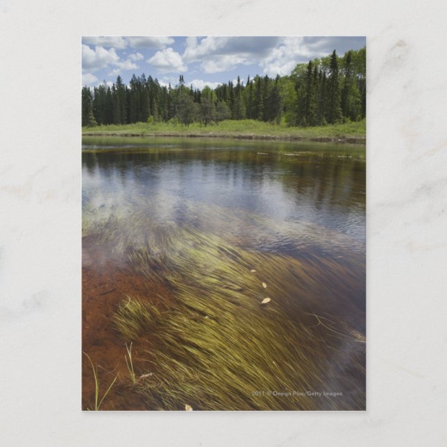 Cartão Postal Um Lago Tranquilo Refletindo as Nuvens (Frente)