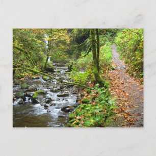 Cartão Postal Um Legal Creek