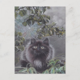 Cartão Postal Um lugar silencioso - Cartão-postal Cat