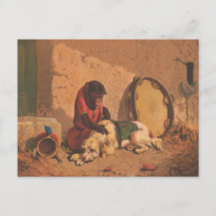 Cartão Postal Um Macaco E Um Cachorro Com Um Grande Tambourino