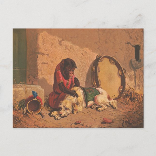 Cartão Postal Um Macaco E Um Cão Com Um Tamborim Grande (Frente)