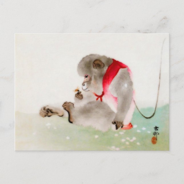 Cartão Postal Um Macaco Sentado Observando Um Inseto (Frente)