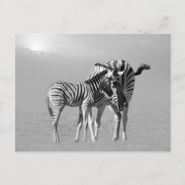 Cartão Postal Um momento delicado entre mãe e bebê (Frente)