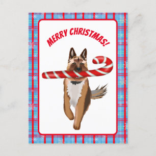 Cartão Postal Um Natal de Bengala de Cachorro Muito Alemão