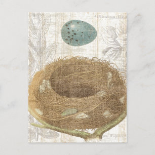 Cartão Postal Um ninho de pássaro com um ovo decorativo