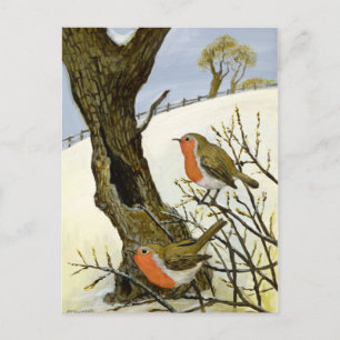 Cartão Postal Um par de Robins