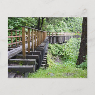 Cartão Postal Um Passeio Pacífico