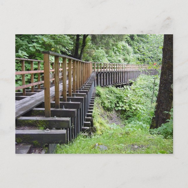 Cartão Postal Um Passeio Pacífico (Frente)