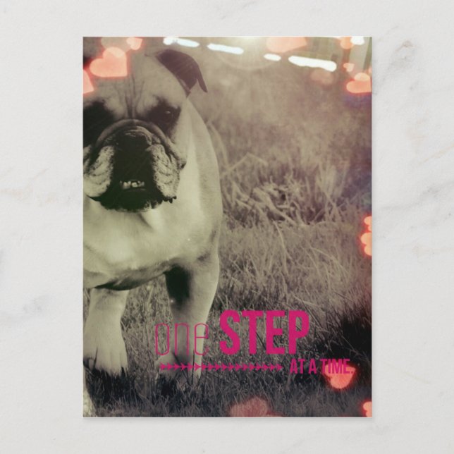 Cartão Postal Um passo de cada vez, Buldogue (Frente)