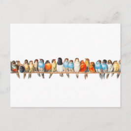 Cartão Postal Um Perch of Birds - Ilustração de aves de vintage