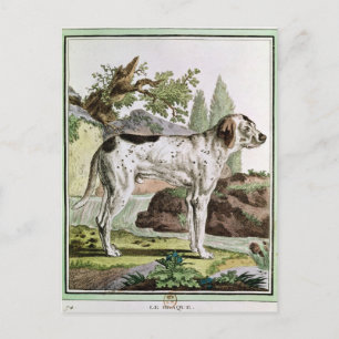 Cartão Postal Um Ponteiro, ilustração de 'Histoire