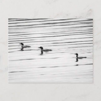 Cartão Postal Um Pouco De Loonia - Cartão-Postal