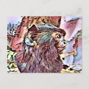 CARTÃO POSTAL UM POUCO DE MACACO