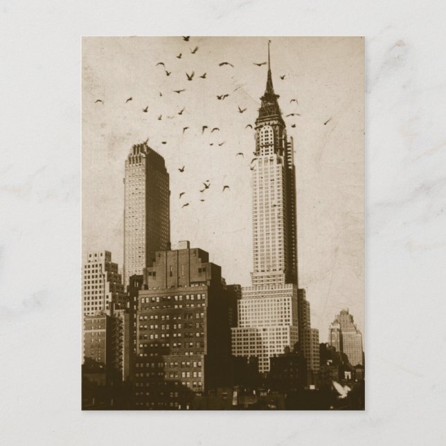 Cartão Postal Um rebanho do voo dos pássaros (Frente)