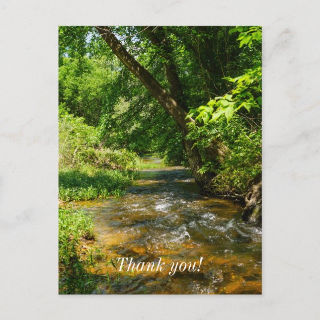 Cartão Postal Um riacho do interior (do país) (Frente)