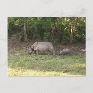 Cartão Postal Um Rinoceronte Chitwan Parque Nacional Nepal