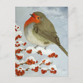 Cartão Postal Um Robin e bagas na neve